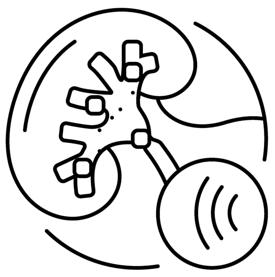Lithotripsy
