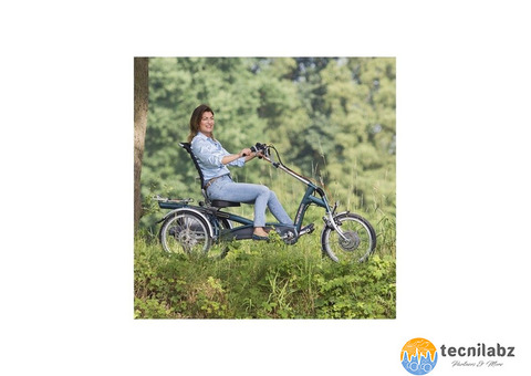 Vélo Easy Rider 2 avec motorisation - d'occasion - 3/3